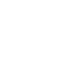 RobotBulls